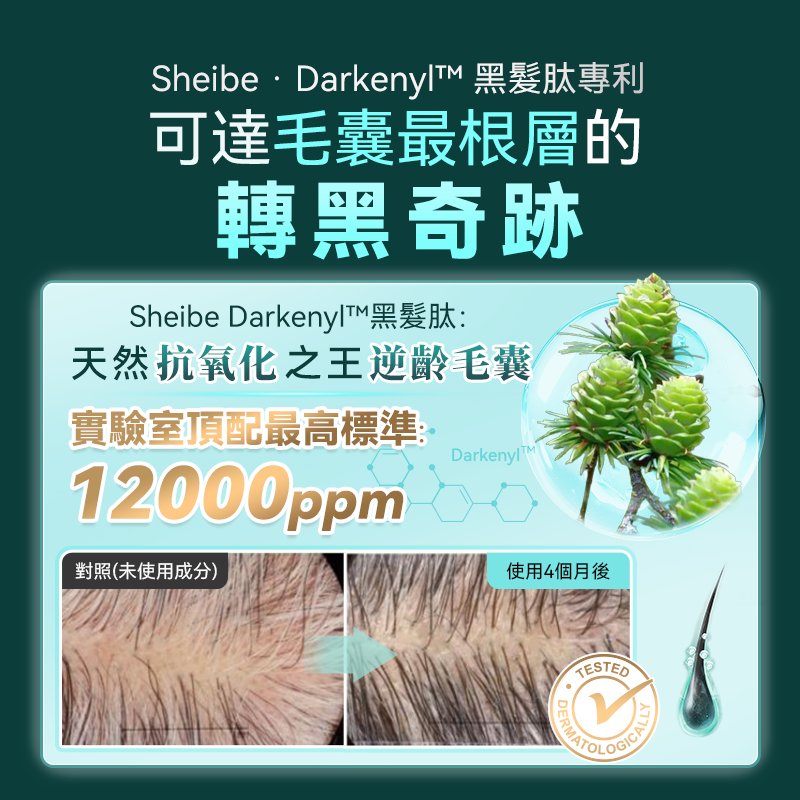 日本Sheibe 天然黑髮肽AgeReversal強效防脫黑髮生髮 洗髮水