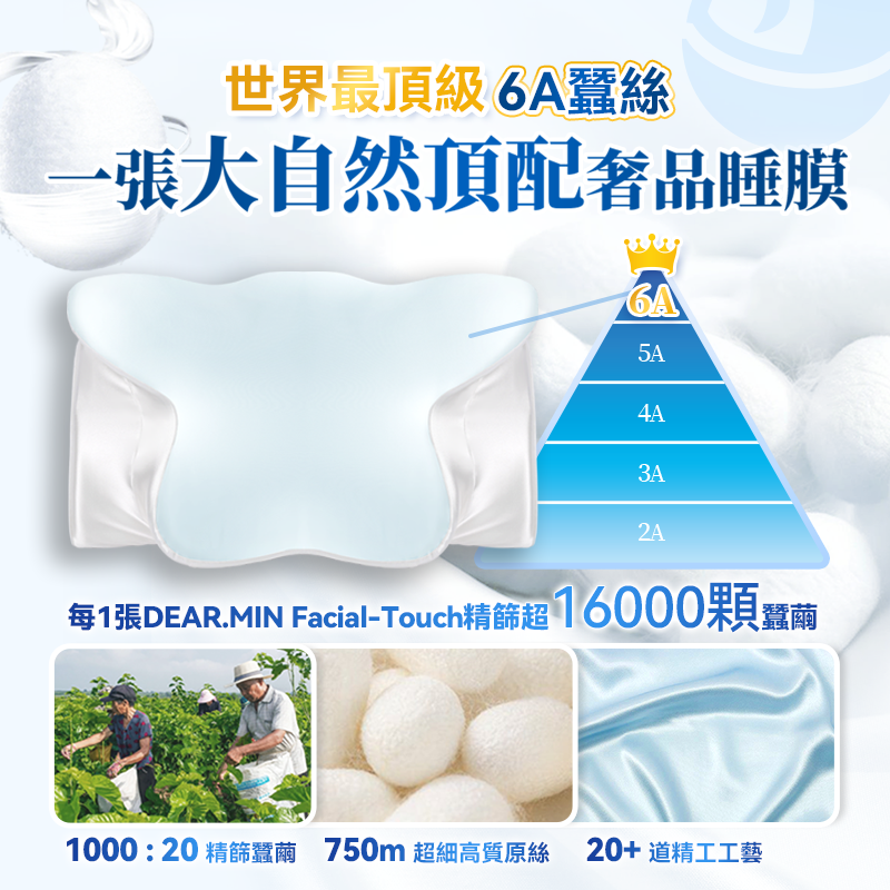 日本DEAR.MIN 特級6A真絲Facial-Touch美容養髮睡美枕套