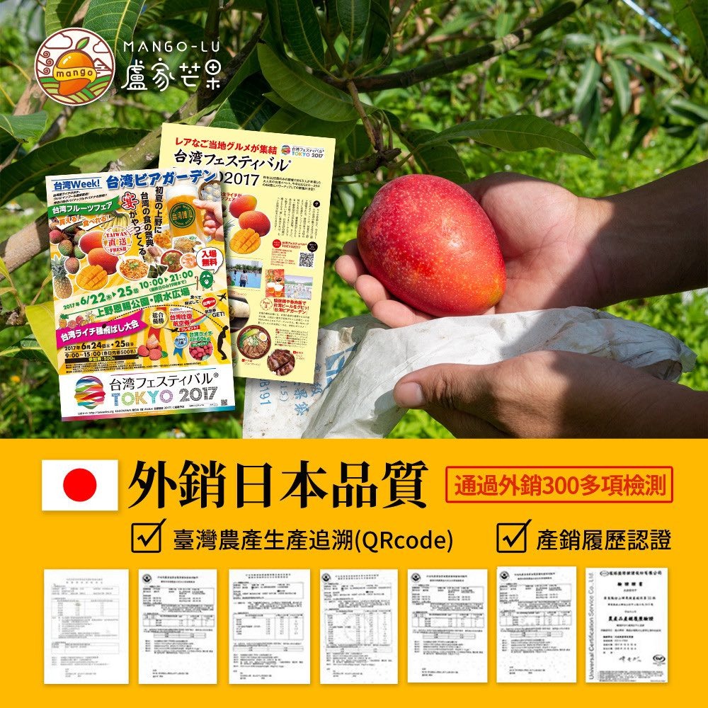 盧家芒果-枋山產完熟愛文芒果5公斤裝(10-12個)(預購產品，6月初空運到港)(5月22日截單)