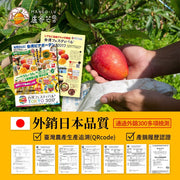 盧家芒果-枋山產完熟愛文芒果5公斤裝(10-12個)(預購產品，6月初空運到港)(5月22日截單)