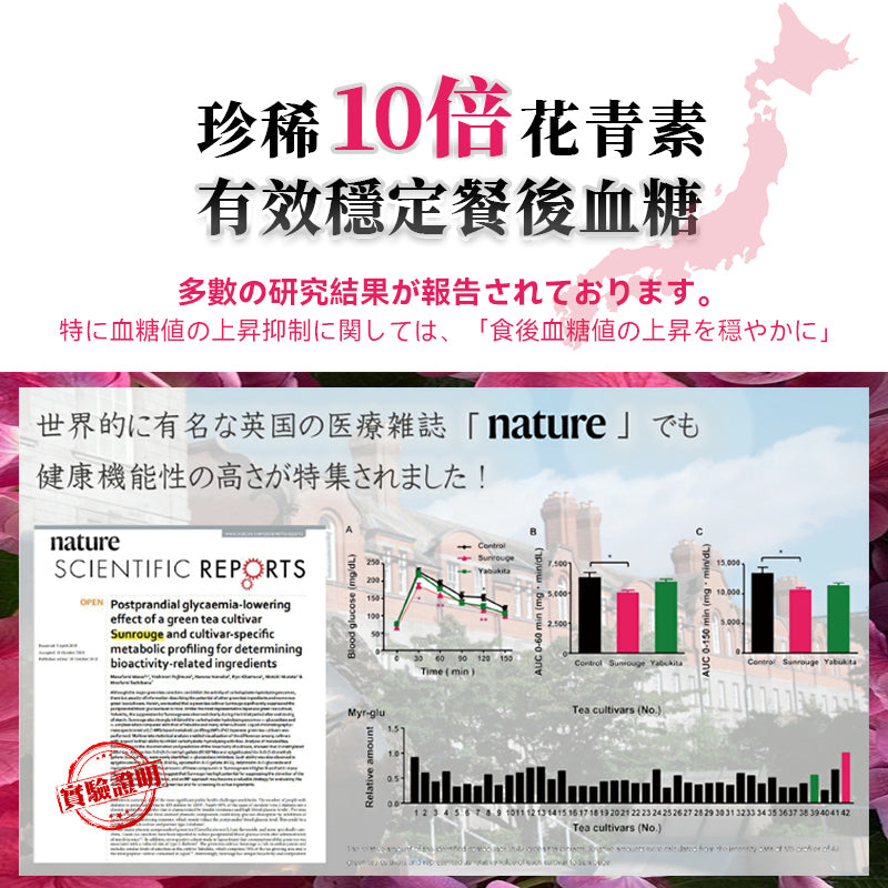 日本世界自然遺產鹿兒島長壽茶