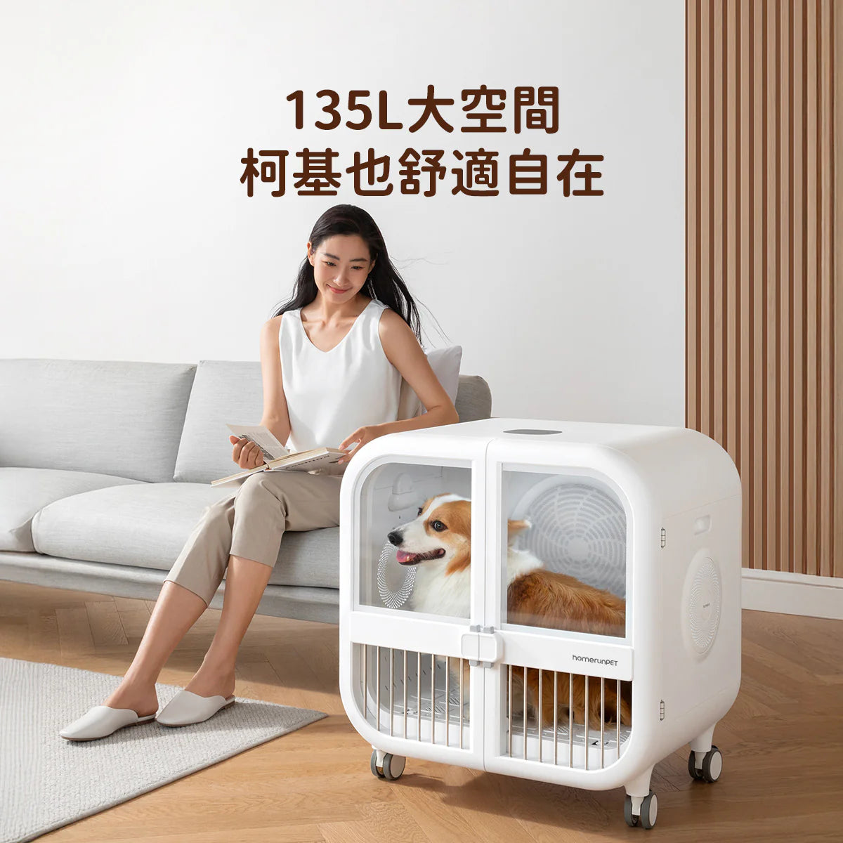 HomerunPet-加大版寵物毛髮烘乾機