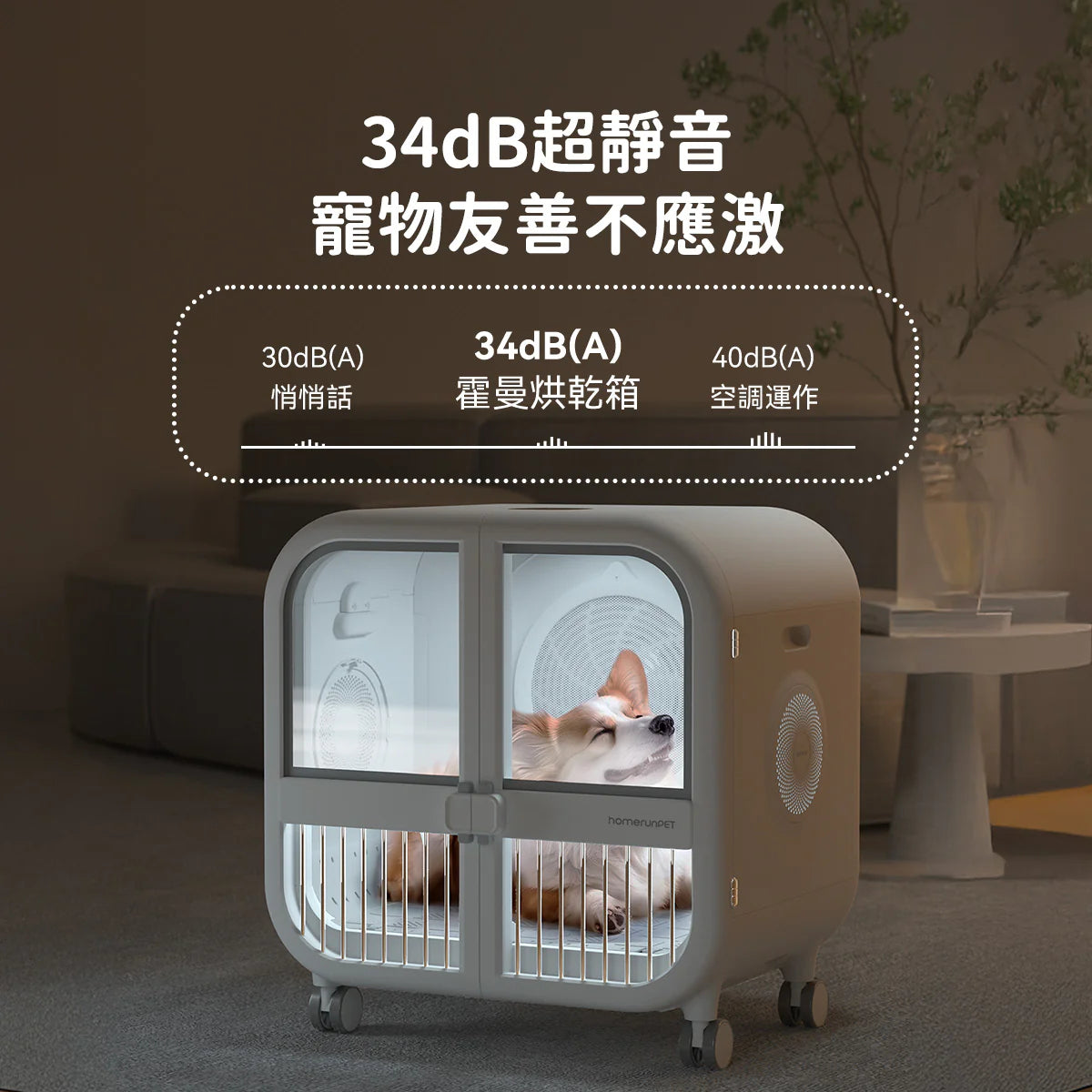 HomerunPet-加大版寵物毛髮烘乾機