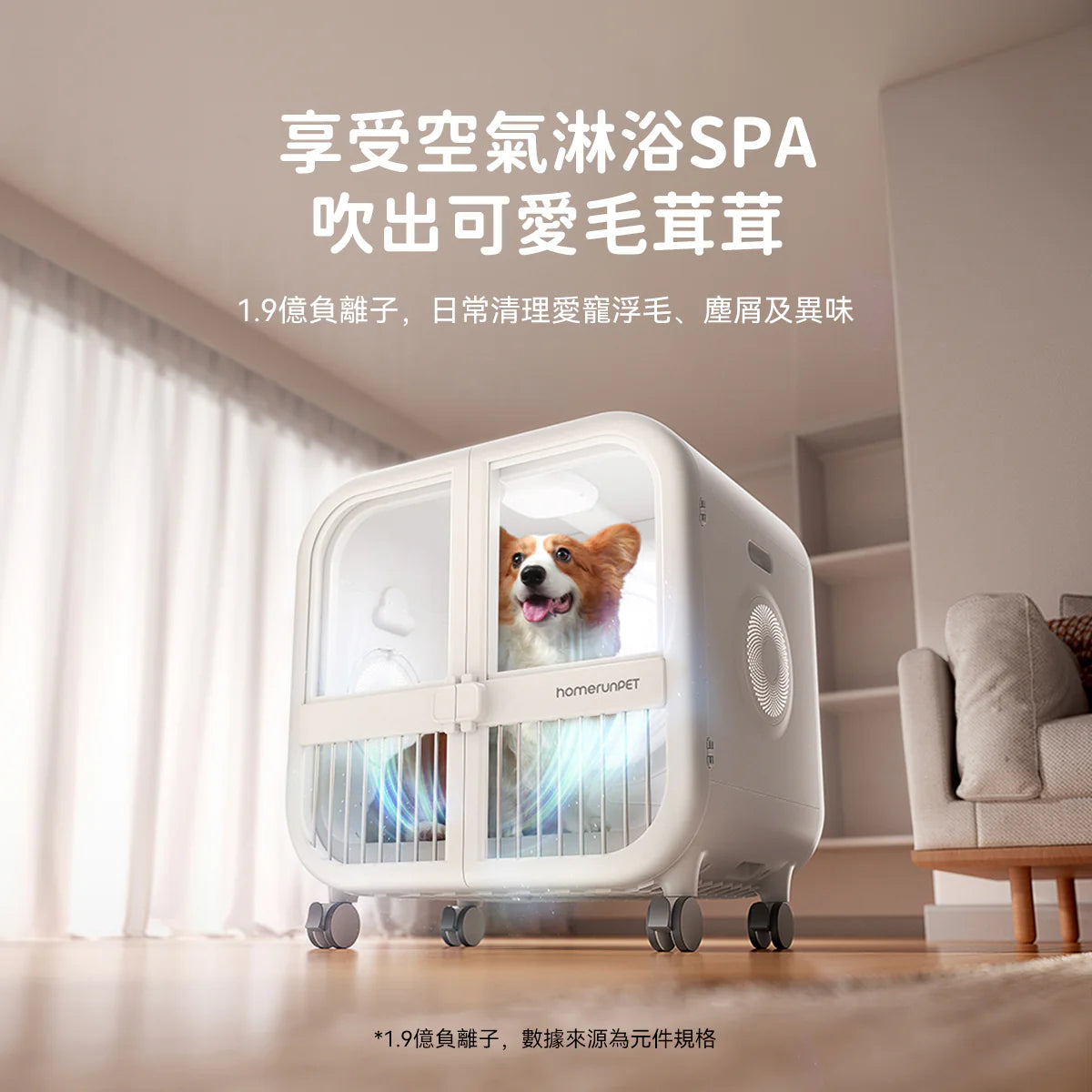 HomerunPet-加大版寵物毛髮烘乾機