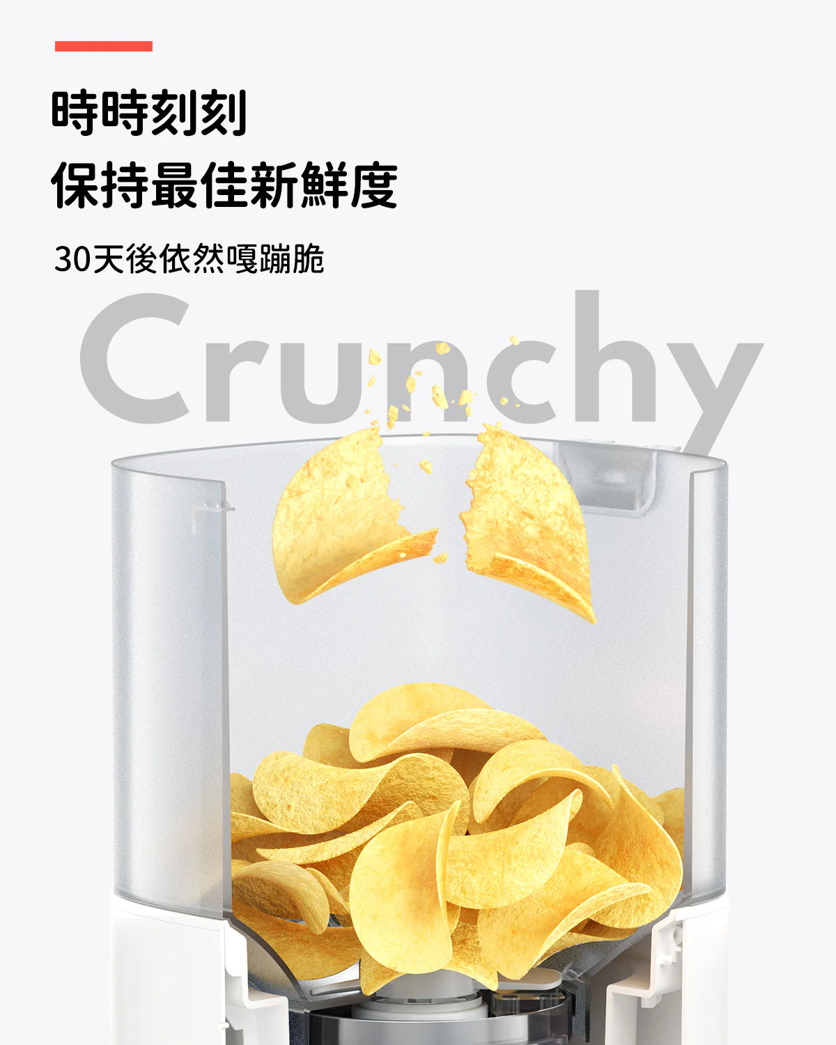 HomerunPet-寵物智能遠程餵食器（含陶瓷餵食碗）