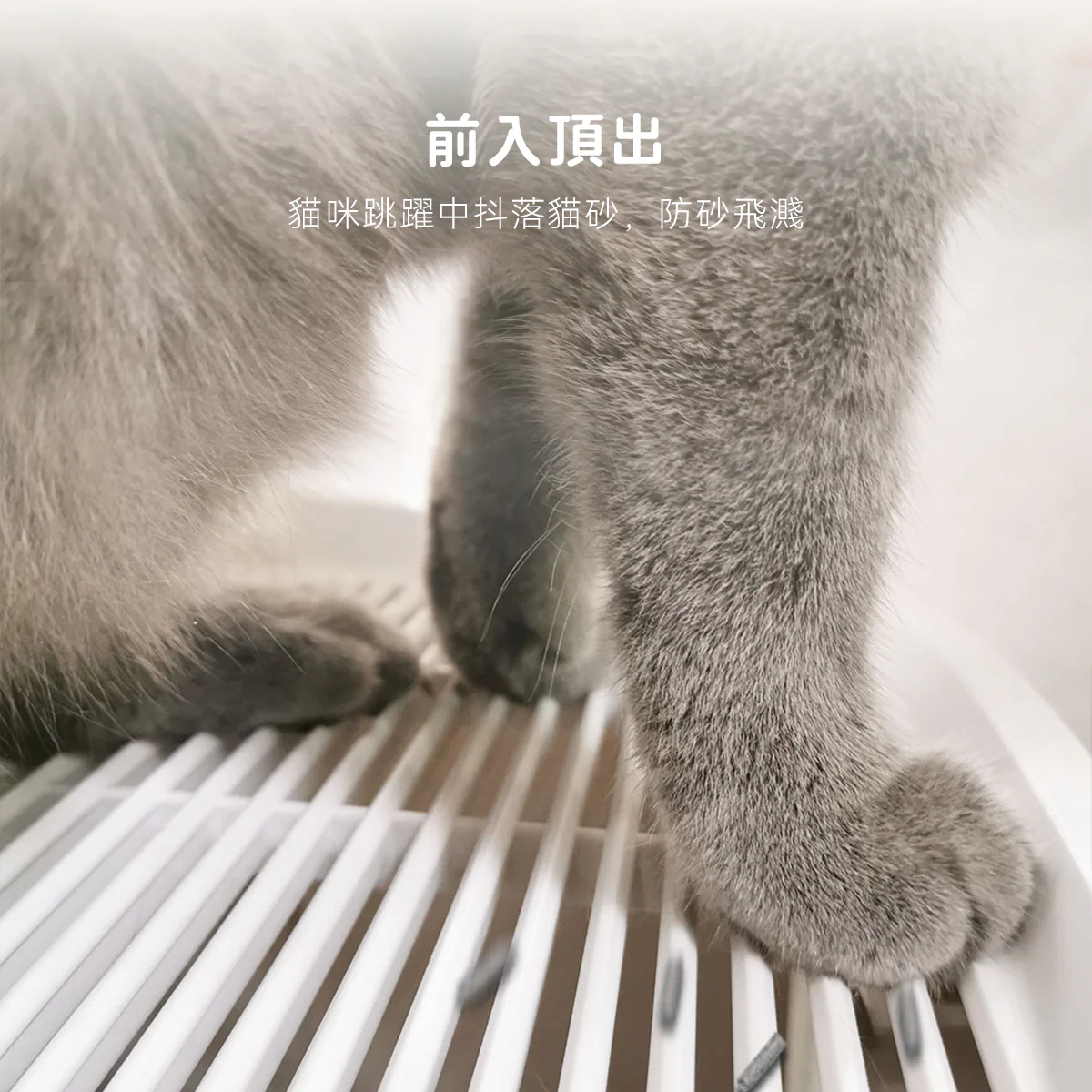 HomerunPet-基礎版貓砂盆