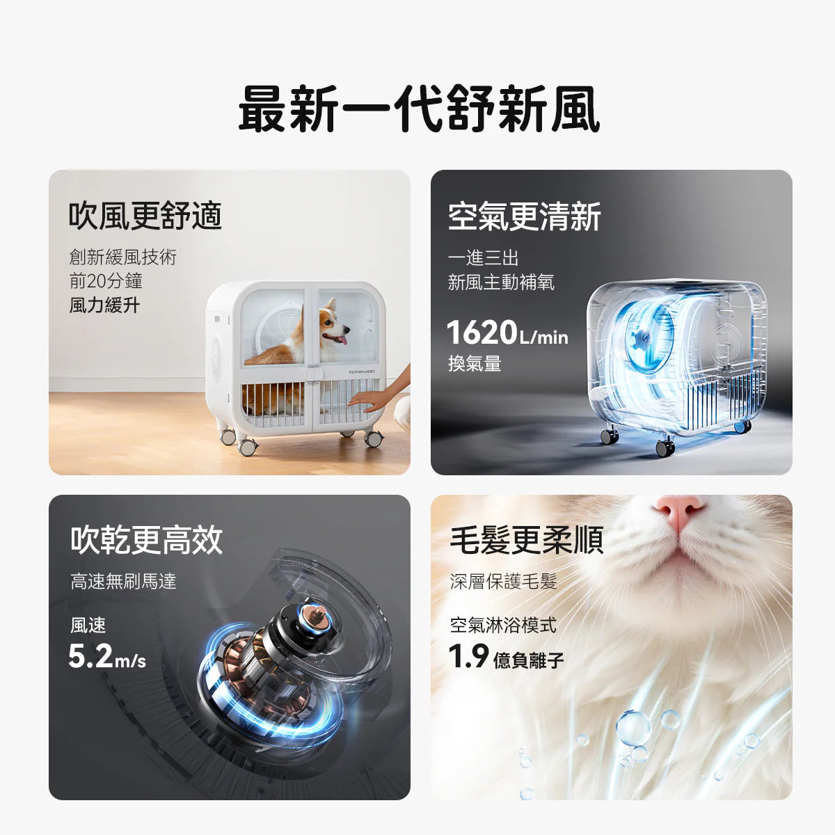 HomerunPet-加大版寵物毛髮烘乾機