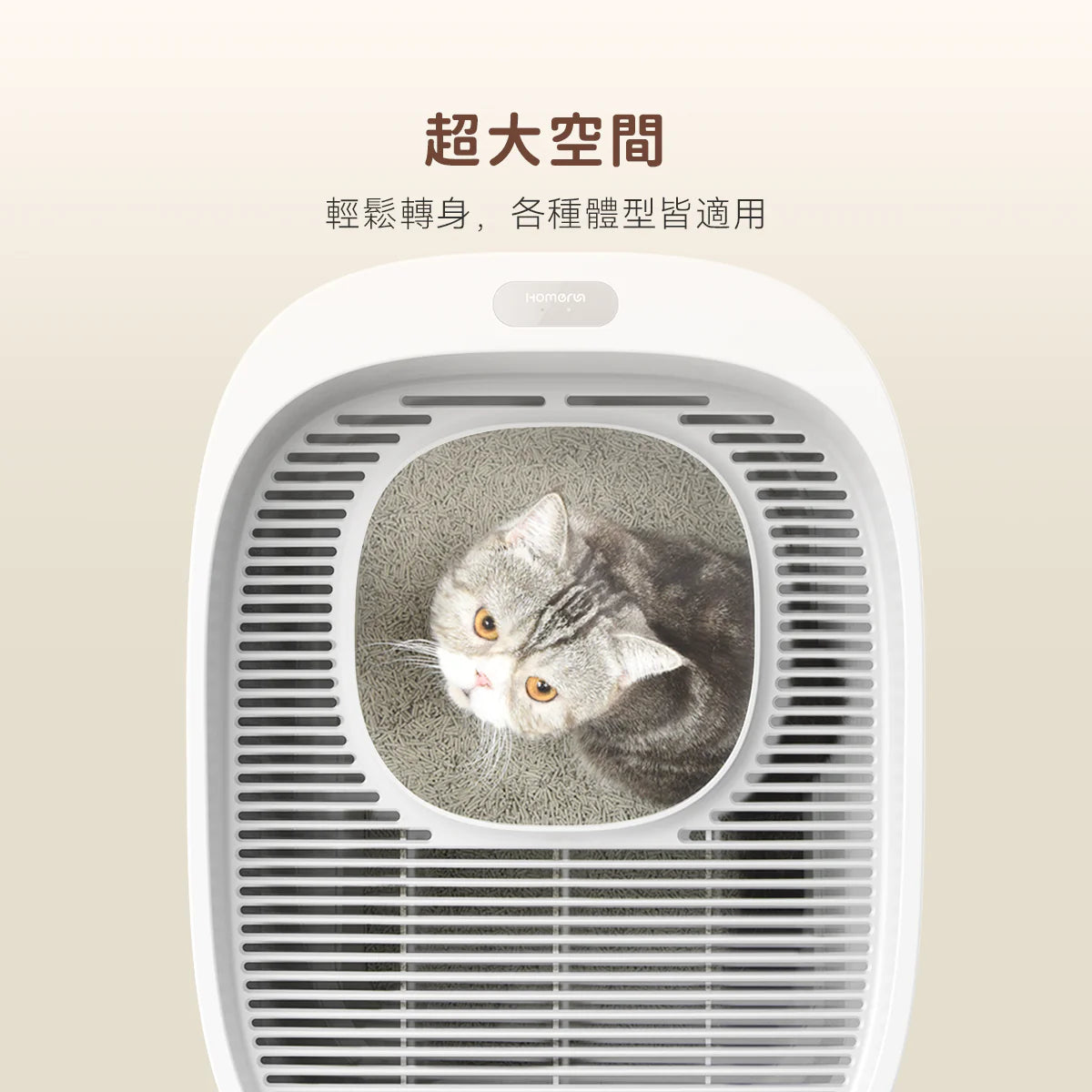 HomerunPet-基礎版貓砂盆