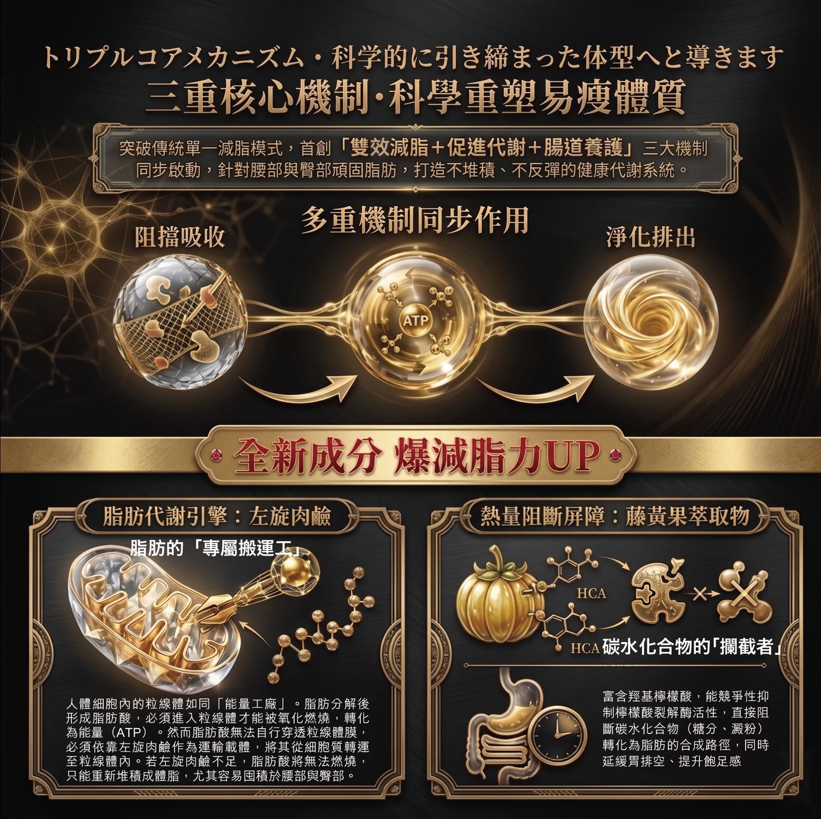 日本製纖樂堂Surimu全新升級版黑纖減腩酵素4.0 (90粒)