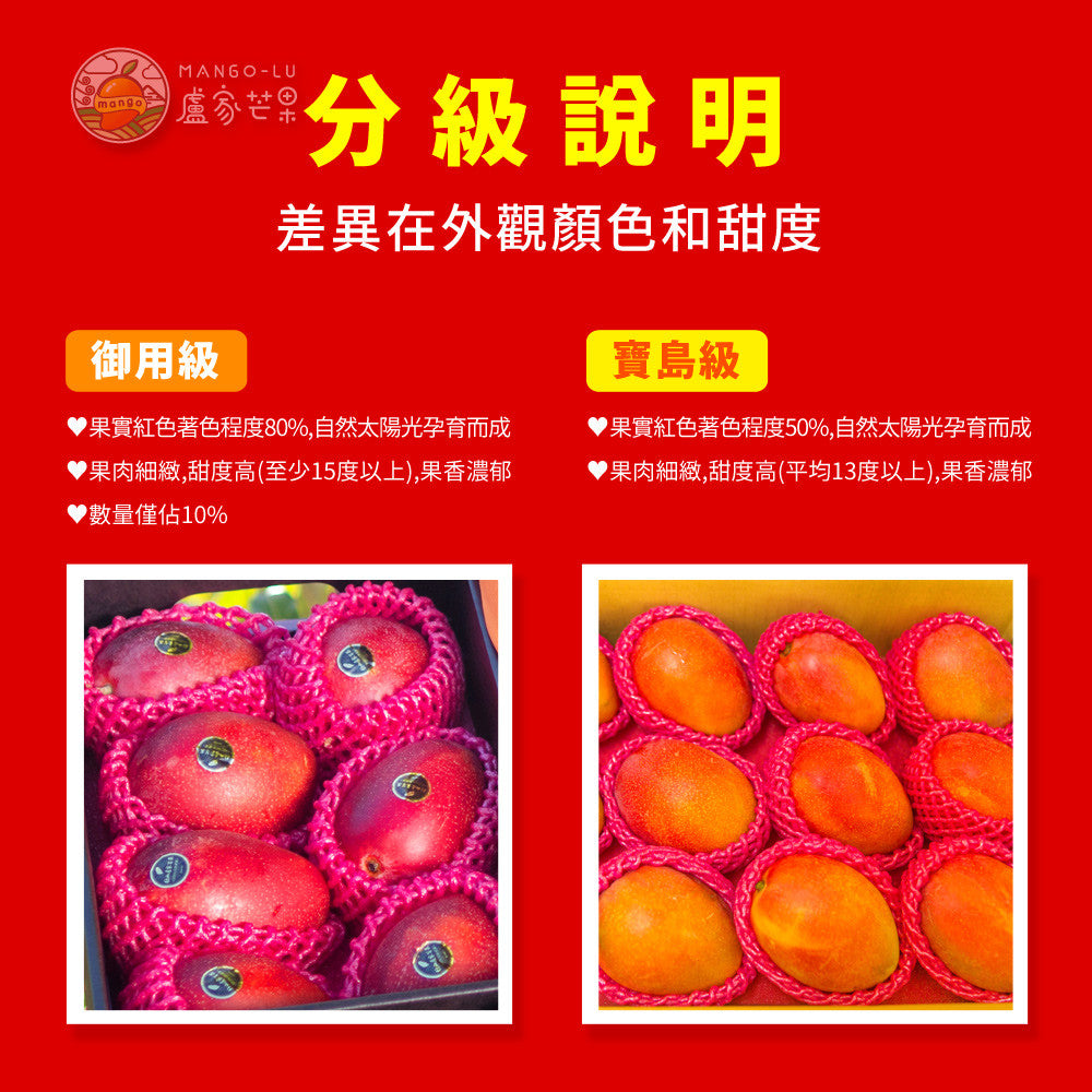 盧家芒果-枋山產完熟愛文芒果5公斤裝(10-12個)(預購產品，6月初空運到港)(5月22日截單)